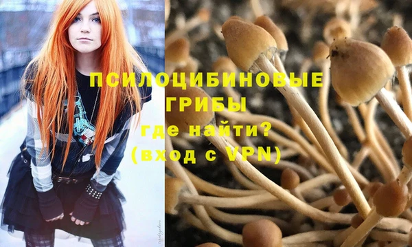 mdpv Балахна