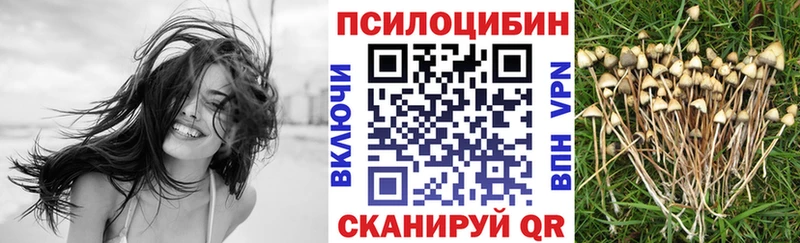 купить наркоту  MEGA ссылки  Галлюциногенные грибы мицелий  Биробиджан 